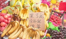 橘子最新爆料文案图片高清,最新爆料图片高清解析，带你一探究竟